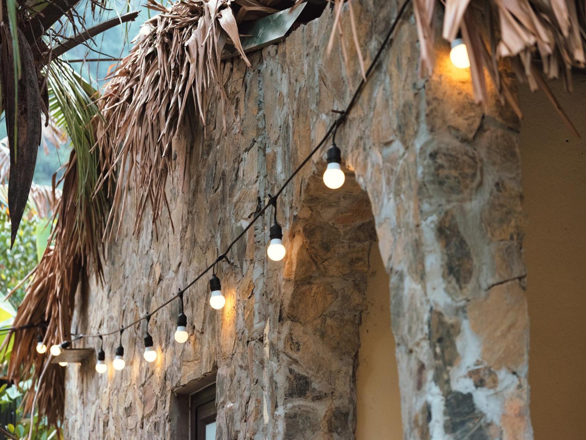 Cozy Beer Garden Homestay Ninh Binh Dış mekan fotoğraf
